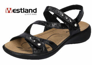 Ibis Black