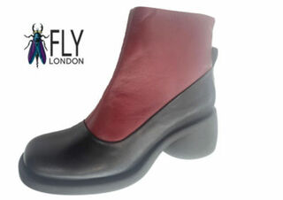 Flynaomi Black/Burgandy