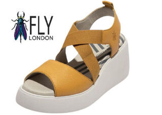 Flydorf Yellow